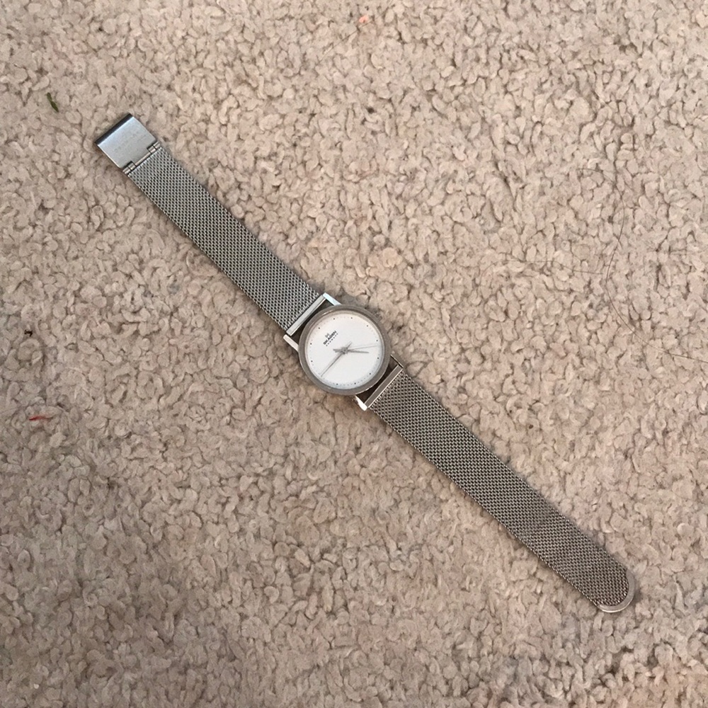 Skagen silver mesh watch